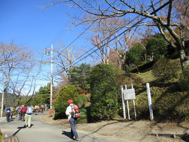 画像4: 12月4日に冬桜で有名なその名も 「桜山」 へ行って来ました♪