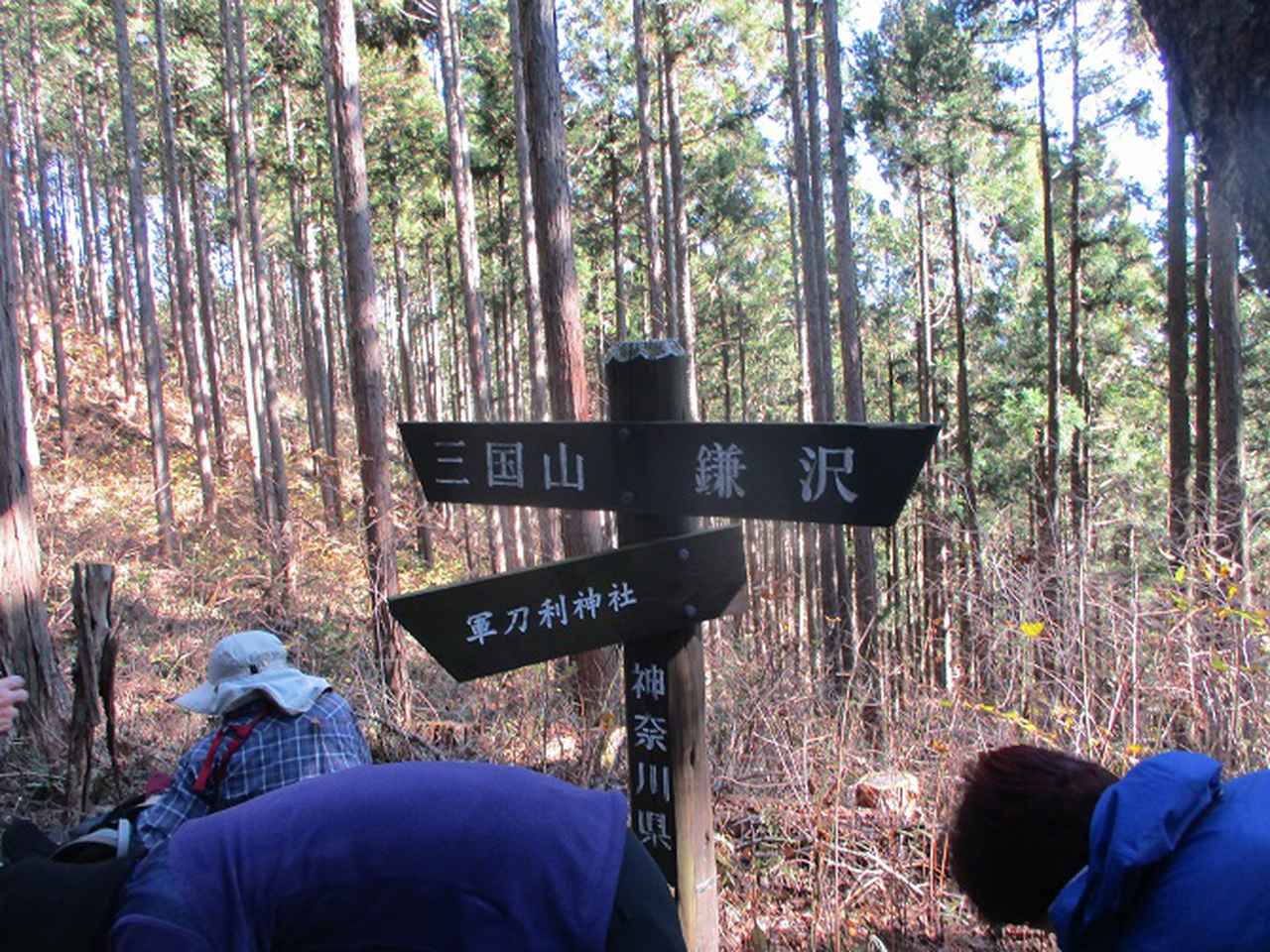 画像3: 12月12日に山旅会生藤山ツアーに行ってきました!