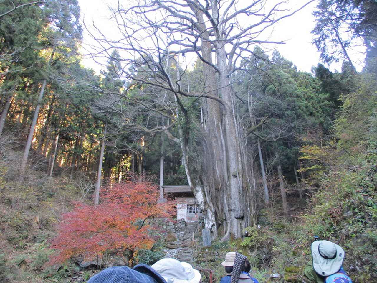 画像2: １２月１２日に山旅会生藤山ツアーに行ってきました！