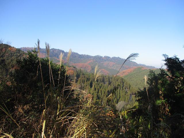 画像4: 先日12月14日に山旅会 東高尾山稜 ツアーに行ってきました!
