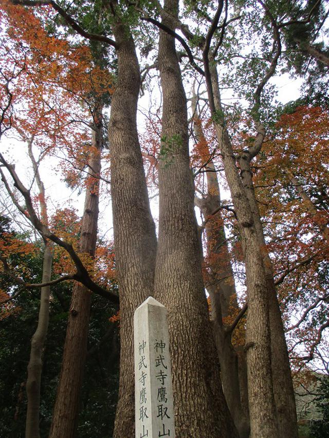 画像1: 12月21日に山旅会現地集合 「鷹取山」 ツアーに行ってきました!