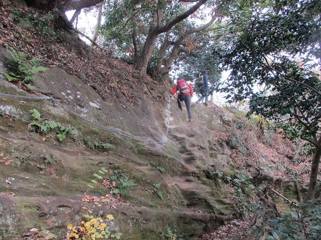 画像9: 12月21日に山旅会現地集合 「鷹取山」 ツアーに行ってきました!