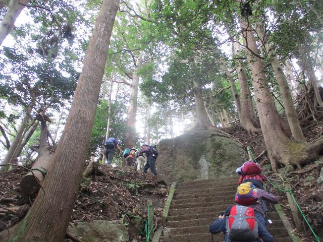 画像2: 12月13日に岡田ガイドのコースで 鐘ヶ岳 ツアーに行ってきました!