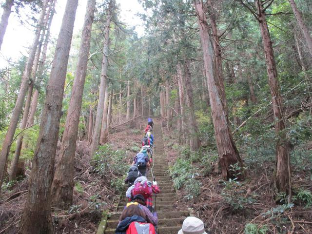 画像1: 12月13日に岡田ガイドのコースで 鐘ヶ岳 ツアーに行ってきました!