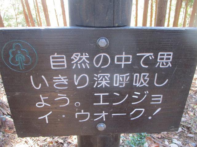 画像5: 12月20日に栃木と茨城の県境の山 「仏頂山から高峰」 へ行って来ました♪