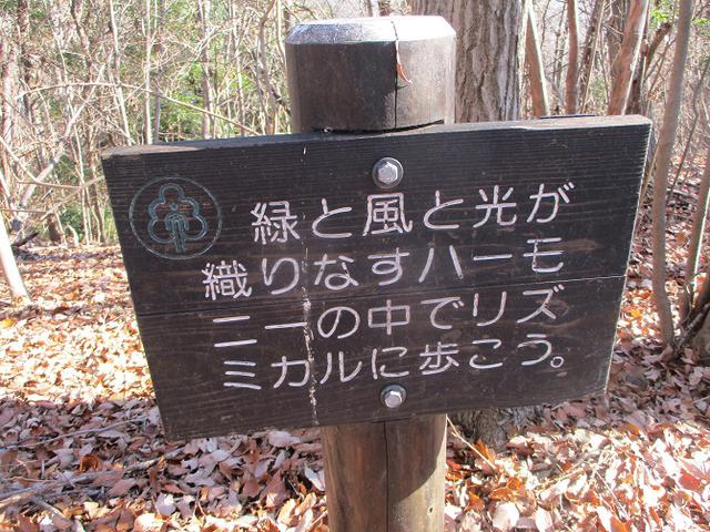画像9: 12月20日に栃木と茨城の県境の山 「仏頂山から高峰」 へ行って来ました♪