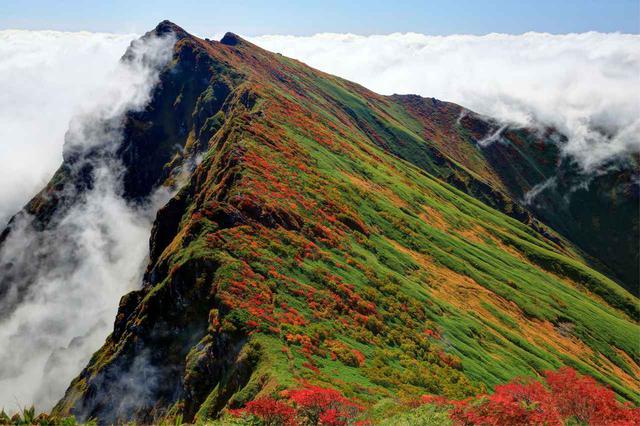 画像: 谷川岳