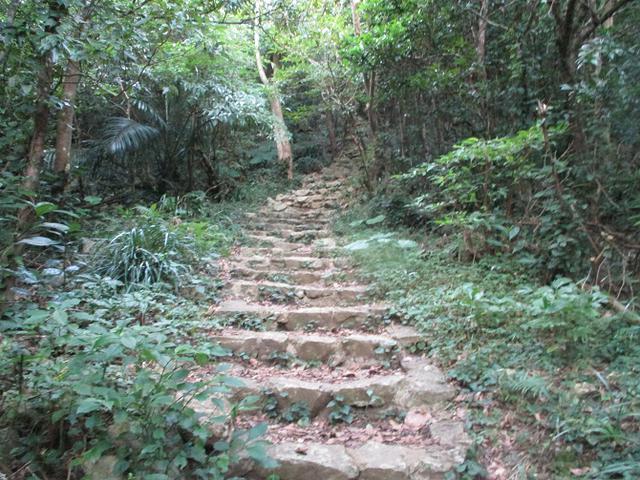 画像6: 1月の山旅会 「沖縄グスク巡り・伊江島城山・名護岳」 ツアーの下見に行ってきました!