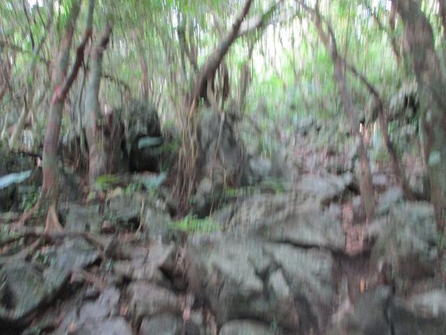 画像7: 1月の山旅会 「沖縄グスク巡り・伊江島城山・名護岳」 ツアーの下見に行ってきました!