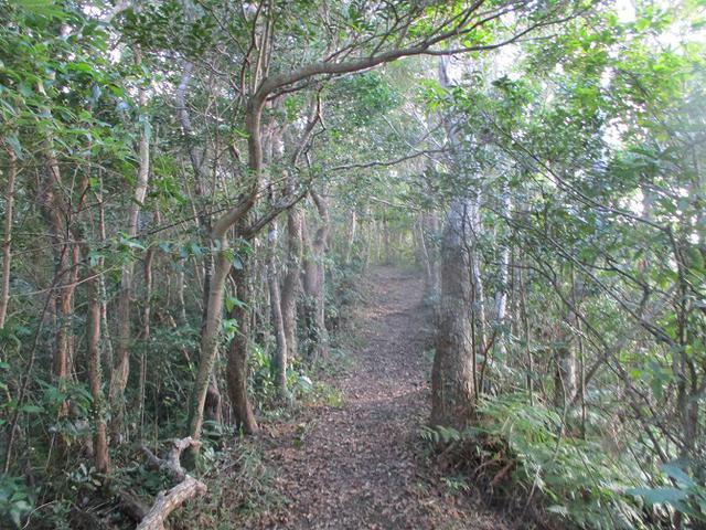 画像10: 1月の山旅会 「沖縄 グスク巡り・伊江島城山・名護岳」 ツアーの下見に行ってきました!