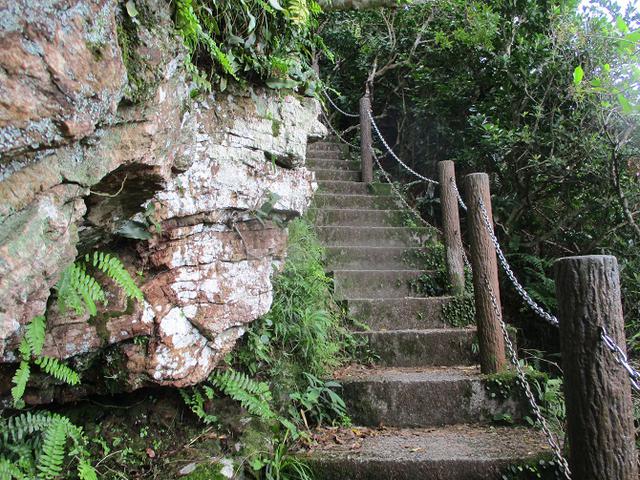 画像7: 1月の山旅会 「沖縄 グスク巡り・伊江島城山・名護岳」 ツアーの下見に行ってきました!