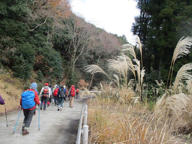 画像10: 12月23日に山旅会 鐘ヶ岳 の2回目のツアーに行ってきました!