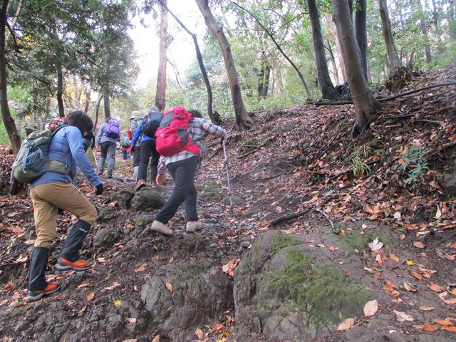 画像2: 12月23日に山旅会 鐘ヶ岳 の2回目のツアーに行ってきました!