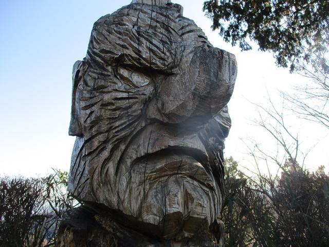 画像5: 12月29日と30日に山旅会現地ツアー 「城山から高尾山」 に行ってきました!