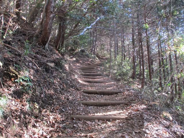 画像1: 12月29日と30日に山旅会現地ツアー 「城山から高尾山」 に行ってきました!