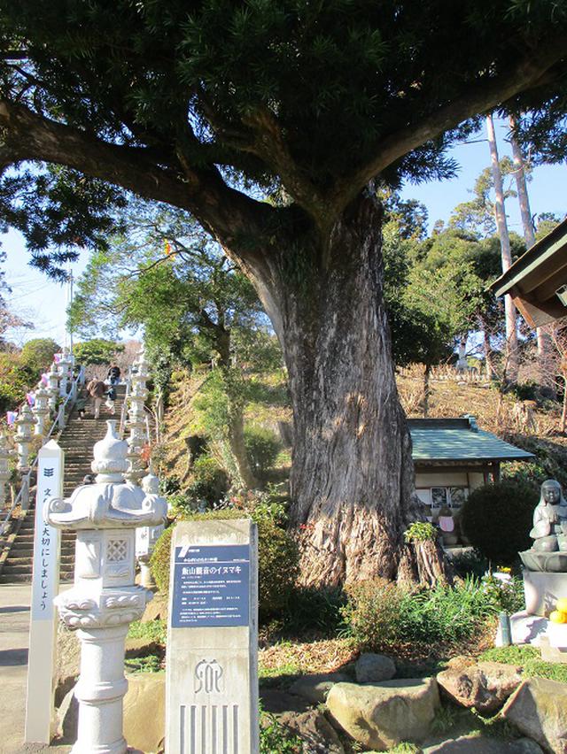 画像1: 丹沢白山の下見に行ってきました! (1月に現地集合ツアー、2月バス日帰りツアーがあります)