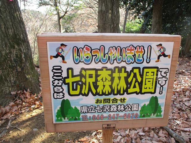 画像8: 丹沢白山の下見に行ってきました! (1月に現地集合ツアー、2月バス日帰りツアーがあります)