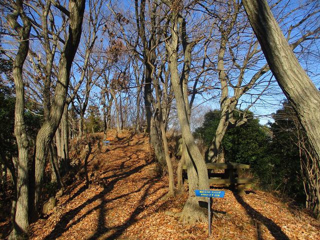 画像4: 丹沢白山の下見に行ってきました! (1月に現地集合ツアー、2月バス日帰りツアーがあります)