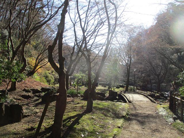 画像11: 丹沢白山の下見に行ってきました! (1月に現地集合ツアー、2月バス日帰りツアーがあります)