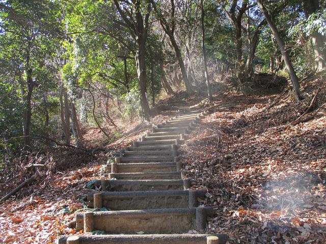 画像3: 丹沢白山の下見に行ってきました! (1月に現地集合ツアー、2月バス日帰りツアーがあります)