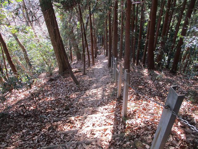 画像7: 丹沢白山の下見に行ってきました! (1月に現地集合ツアー、2月バス日帰りツアーがあります)