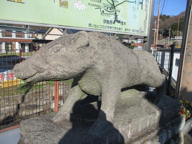 画像12: 丹沢白山の下見に行ってきました! (1月に現地集合ツアー、2月バス日帰りツアーがあります)