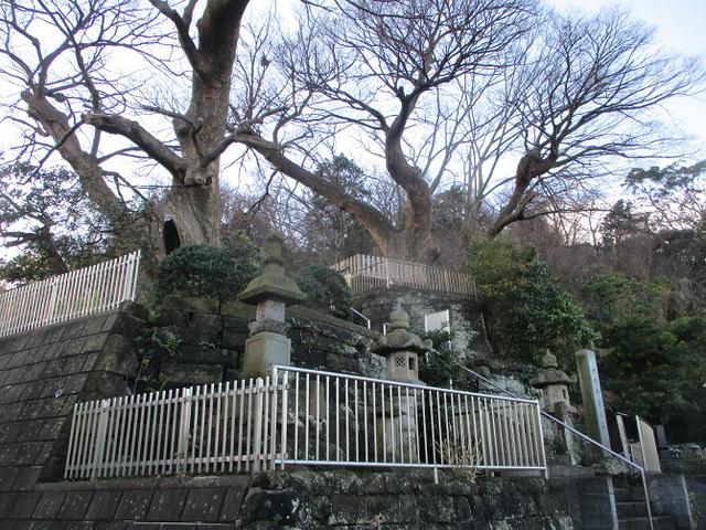 画像1: 1月の山旅会現地集合ツアー 「阿部倉山から二子山」 ツアーの下見に行ってきました!