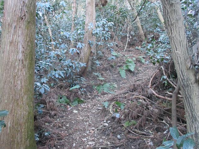 画像8: 1月の山旅会現地集合ツアー 「阿部倉山から二子山」 ツアーの下見に行ってきました!