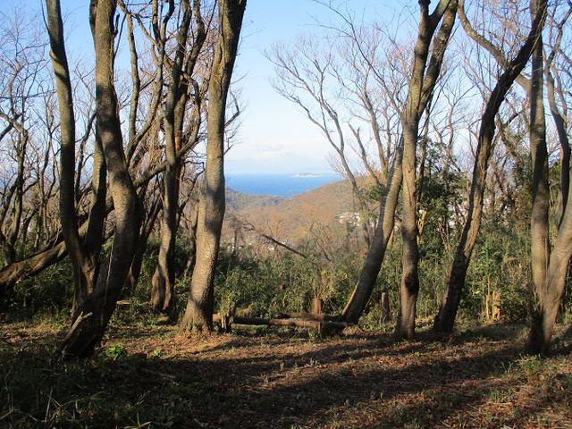 画像7: 1月の山旅会現地集合ツアー 「阿部倉山から二子山」 ツアーの下見に行ってきました!