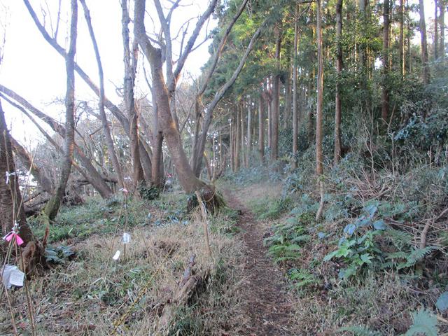 画像5: 1月の山旅会現地集合ツアー 「阿部倉山から二子山」 ツアーの下見に行ってきました!
