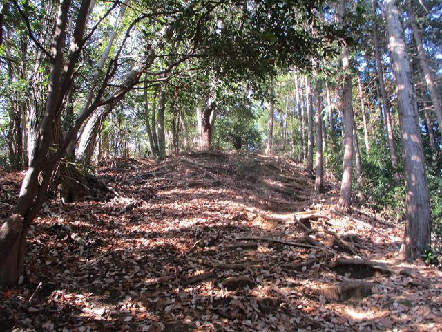 画像2: 1月3日と4日に山旅会現地集合 「駒木野から八王子城址」 ツアーに行ってきました!