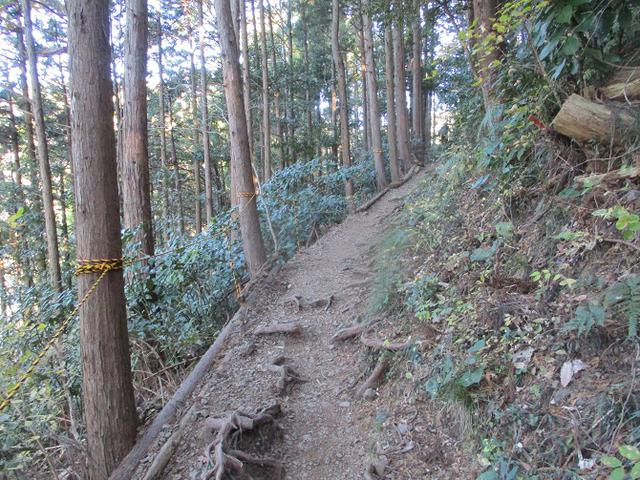 画像5: 1月の山旅会 「満観峰」 と 「満観峰から丸子富士」 ツアーの下見に行ってきました!