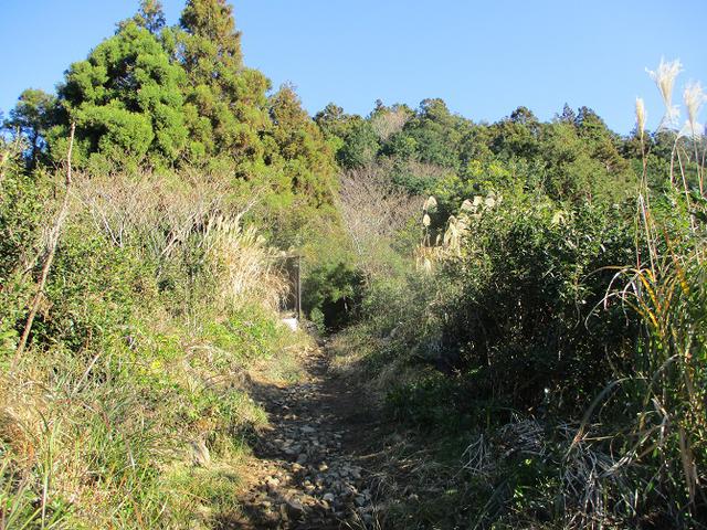 画像6: 1月の山旅会 「満観峰」 と 「満観峰から丸子富士」 ツアーの下見に行ってきました!
