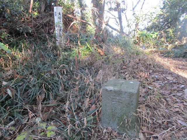 画像4: 1月の 「満観峰から丸子富士」 ツアーの下見に行ってきました!