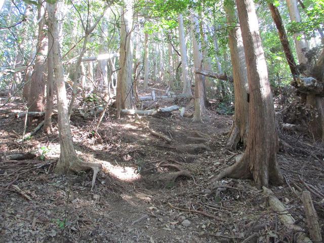 画像2: 1月の 「満観峰から丸子富士」 ツアーの下見に行ってきました!