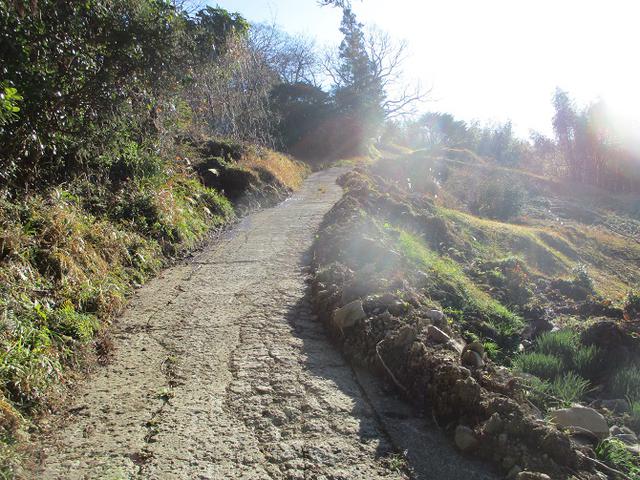 画像5: 1月の山旅会 「をくずれから津森山」 ツアーの下見に行ってきました!