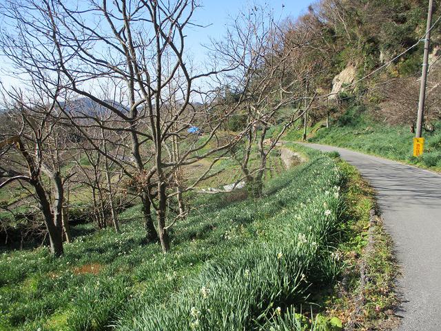 画像10: 1月の山旅会 「をくずれから津森山」 ツアーの下見に行ってきました!