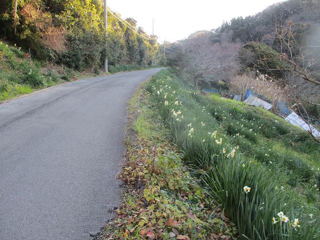 画像3: 1月の山旅会 「をくずれから津森山」 ツアーの下見に行ってきました!