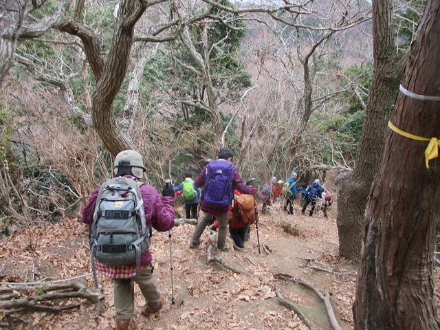 画像6: 1月7日に山旅会 「聖峰から高取山」 ツアーに行ってきました!