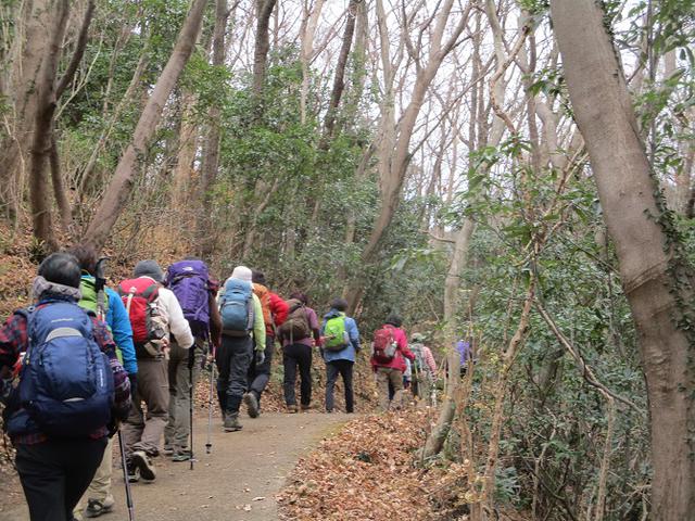 画像1: 1月7日に山旅会 「聖峰から高取山」 ツアーに行ってきました!