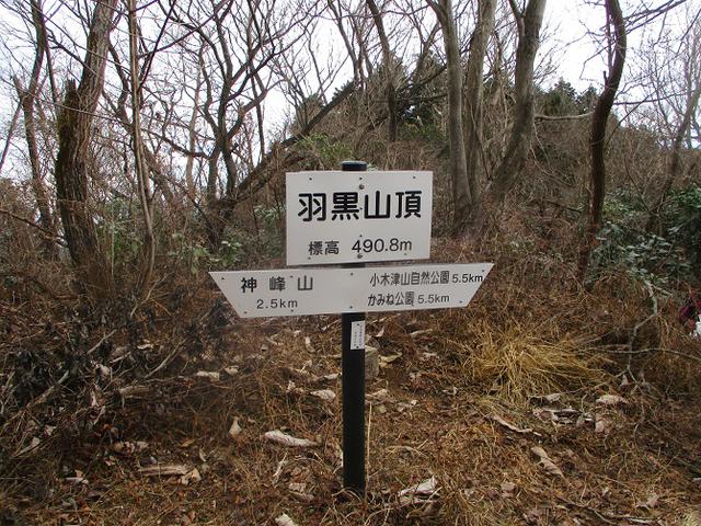 画像7: 1月10日に山旅会 神峰山から鞍掛山 ツアーに行ってきました!