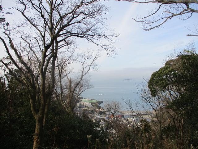 画像1: 1月11日に山旅会現地集合 阿部倉山から二子山 ツアーに行ってきました!
