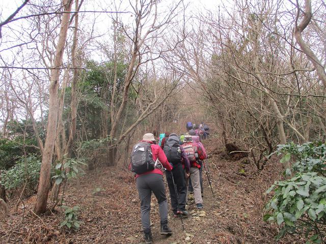 画像5: 1月10日に山旅会 神峰山から鞍掛山 ツアーに行ってきました!