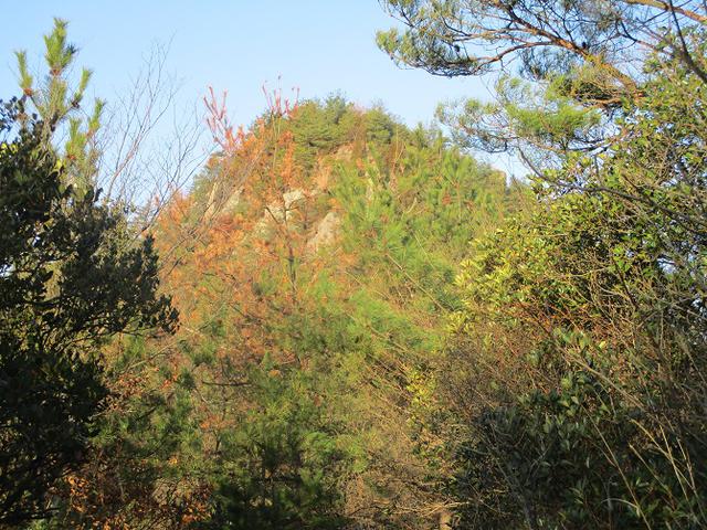 画像6: 来年の冬の企画素材を探して我が故郷・広島の山を歩いてみました!