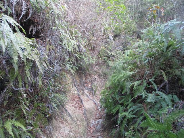 画像3: 来年の冬の企画素材を探して我が故郷・広島の山を歩いてみました!