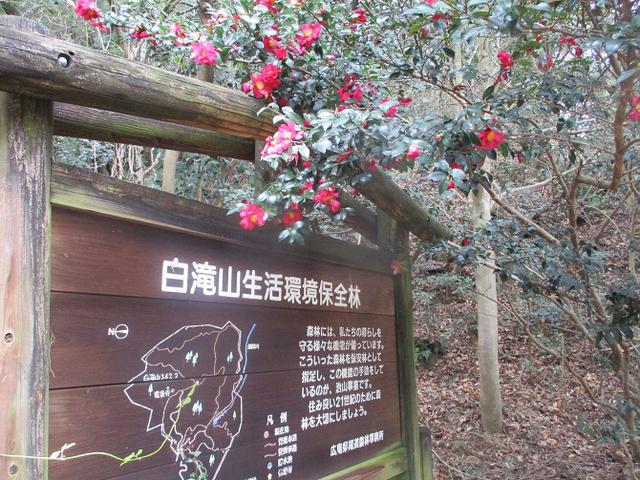 画像7: 来年冬の企画素材を探して、我が故郷・広島県の山を歩いてみました