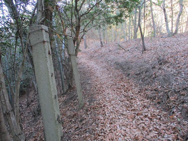 画像4: 来年の冬の企画素材を探して我が故郷・広島の山を歩いてみました!