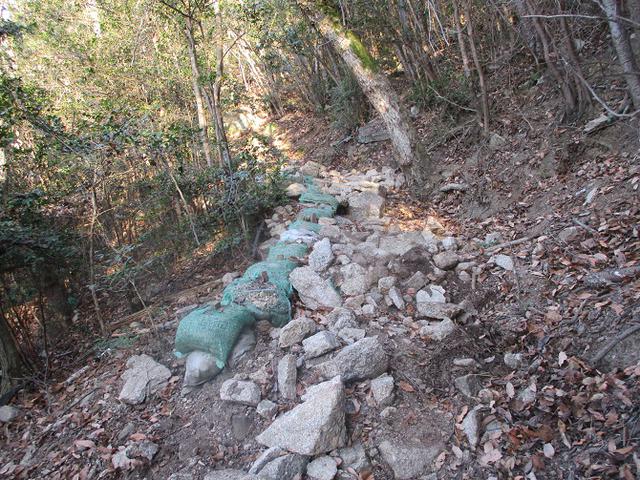 画像5: 来年の冬の企画素材を探して我が故郷・広島の山を歩いてみました!