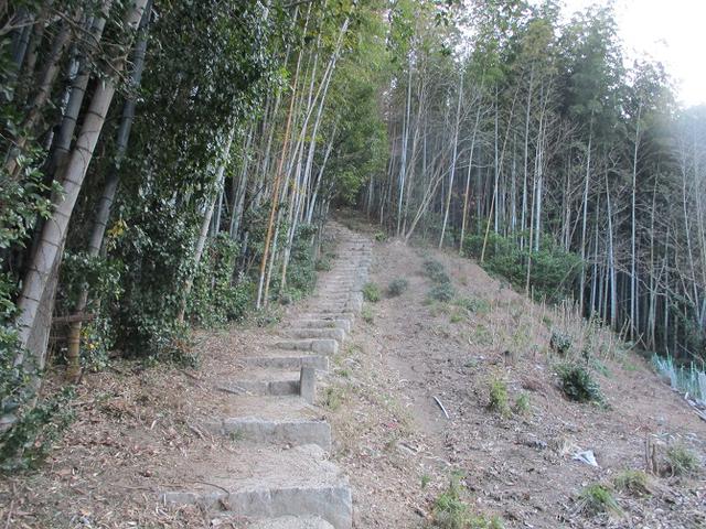 画像2: 来年の冬の企画素材を探して我が故郷・広島の山を歩いてみました!