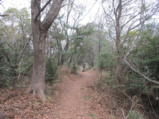 画像6: 来年冬の企画素材を探して、我が故郷・広島県の山を歩いてみました